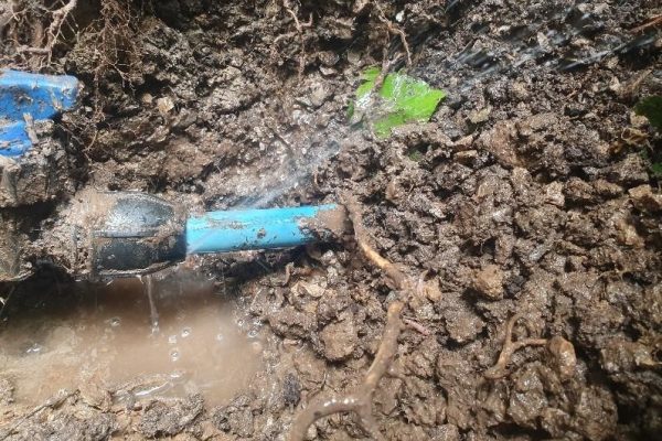 Water Mains Leak Detection Dorking